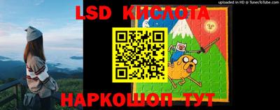 прущие грибы Котовск