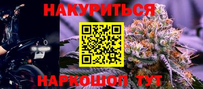 стаф Новодвинск