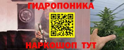 стаф Новодвинск
