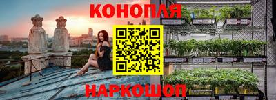 стаф Новодвинск