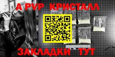 стаф Новодвинск