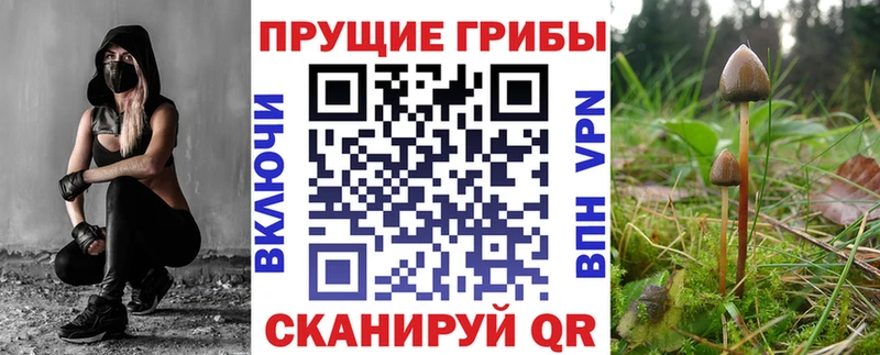 площадка формула  MEGA маркетплейс  Южно-Сахалинск  Галлюциногенные грибы мицелий 