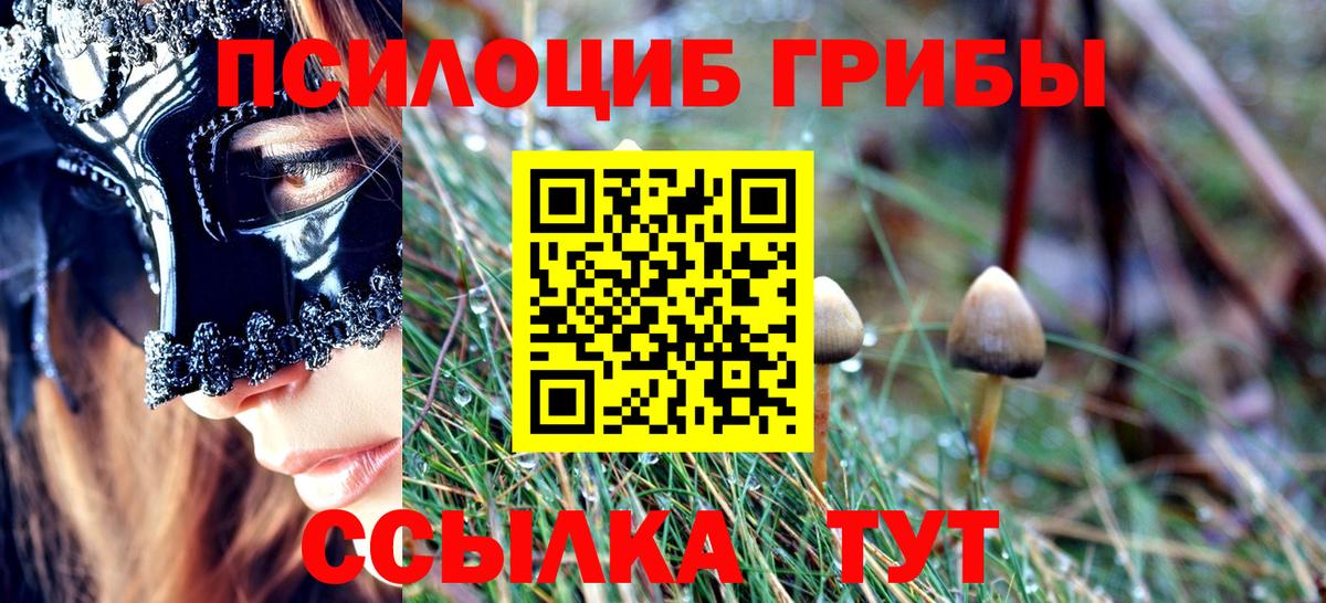Псилоцибиновые грибы Psilocybe Южно-Сахалинск